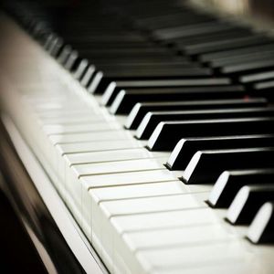 裸体美女航空性服务系列
