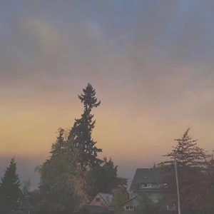 裸体美女航空性服务系列
