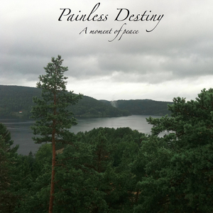 裸体美女航空性服务系列
